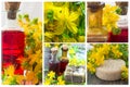 St John`s Wort collage, cosmetics and oil