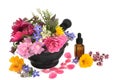 Fresh Flowers and Herbs for Essential Oil Royalty Free Stock Photo