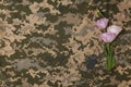 Fresh flowers and ID tag on camouflage background, flat lay. Armed Forces Day