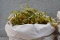 Fresh flowers and leaves of linden.Dried linden flowers