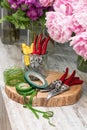 Fresh flowers, leaves, and tools to create a bouquet on a table, florist`s workplace Royalty Free Stock Photo