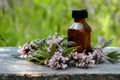 Fresh flowers of motherwort and a bottle of tincture on the background of a meadow