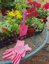 Fresh flowers for planting in the courtyard