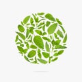 Fresh flying green mint leaves, lemon balm, melissa, peppermint form of circle on light background flat lay. Mint leaf texture,