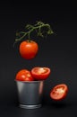 fresh flying tomatoes on a branch in the air. tomatoes in a tin bucket. healthy diet.