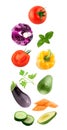 Fresh flying vegetables ingredients isolated on a white background. Royalty Free Stock Photo