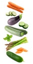 Fresh flying vegetables ingredients isolated on a white background. Royalty Free Stock Photo