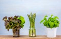 Fresh food storage to reduce waste, asparagus and salad stored in recycled glass jars of water preserve them longer