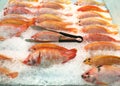 Fresh food. Frozen fish, tilapia on ice Royalty Free Stock Photo