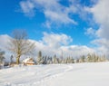 Fresh foot marks in winter, Gorce, Poland Royalty Free Stock Photo