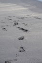 footmarks on sand at beach