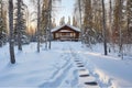 fresh footprints leading up to a secluded forest lodge in snow