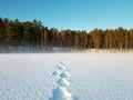 fresh footprints in the in the snow covered landscape, winter nature