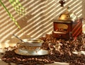 Fresh fragrant coffee Royalty Free Stock Photo