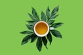 Fresh fragrant and healthy herbal or green tea in a mug on a green background. Tea time