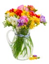 Fresh freesia flowers