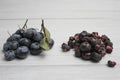 Fresh and freeze dried blueberry on the light wooden background