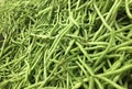fresh french bean Royalty Free Stock Photo