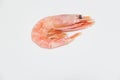 Fresh and freshly cooked shrimp on white background. Royalty Free Stock Photo