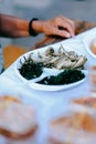 Fresh and fried sardine fish in a plate with green vegetable salad Royalty Free Stock Photo