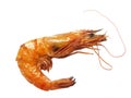 Fresh Fried Shrimp Royalty Free Stock Photo