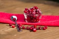 Fresh frozen cranberry