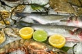 Fresh frozen fish with oysters, lobster and lemons Royalty Free Stock Photo