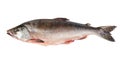 Fresh-frozen fish pink salmon. Royalty Free Stock Photo