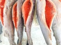 Fresh frozen fish salmon on the counter of the fish market, a whole carcass of gutted red fish Royalty Free Stock Photo