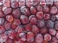 Fresh frozen fruits red plum in hoarfrost Royalty Free Stock Photo