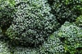 Fresh frozen green broccoli with hoarfrost closeup as background. Royalty Free Stock Photo