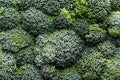 Fresh frozen green broccoli with hoarfrost closeup as background. Royalty Free Stock Photo