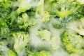 Fresh frozen green broccoli in ice closeup as background. Royalty Free Stock Photo