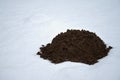 Fresh frozen mole molehill on winter time snow
