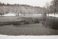 Fresh frozen pond with ducks