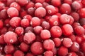 Fresh frozen red cranberry