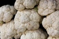 Fresh cauliflower abstract fruit colorful pattern texture background Royalty Free Stock Photo
