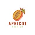 fresh fruit apricot line art colorful abstract logo design vector Royalty Free Stock Photo