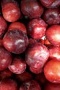 fresh fruit blue plums a close up in a box, a box a background in the market