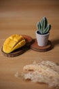 Fresh fruit and cute cactus on wooden background