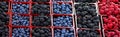 Fresh Fruit in farmer market. Royalty Free Stock Photo