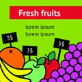 Fresh fruit flyer