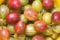 Fresh fruit gooseberries Royalty Free Stock Photo