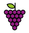 fresh fruit grapes isolated icon design Royalty Free Stock Photo