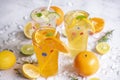 Fresh fruit on ice homemade cocktail tea with mojito lemon lime orange rosemary and mint leaf, Colorful summer drink juicy, Exotic Royalty Free Stock Photo