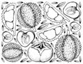 Hand Drawn Background of Durian and Persimmon