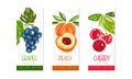 Fresh Fruit Juice Labels Set, Grapes, Peach, Cherry Juice Emblems, Packaging Design Templates Cartoon Style Vector