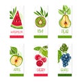 Fresh fruit juice logo design set. Watermelon, kiwi, pear, apple cherry, grapes juice labels, badges vector illustration