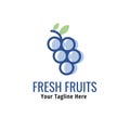 Fresh fruit logo. Minimalist logo design. Creative and simple grape fruit logo