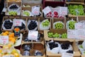 Fresh fruit market stand in osaka ,japan Royalty Free Stock Photo